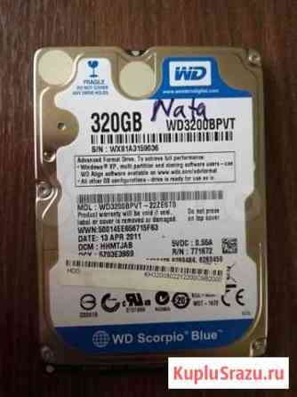 Жесткий диск Western Digital 320 гиг Новосибирск