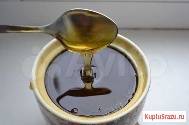 Алтайский мед. Пыльца, прополис Выборг - изображение 1