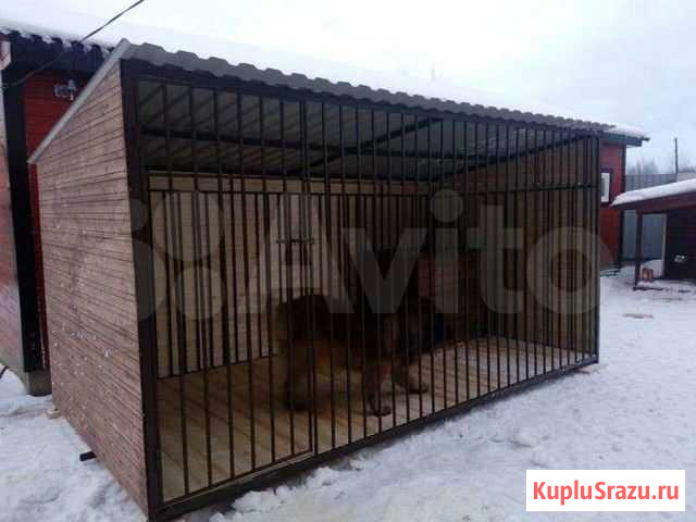 Вольер Калининград - изображение 1