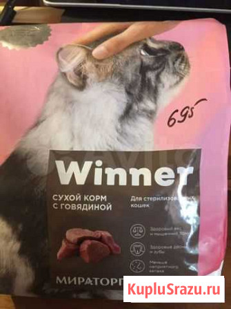Сухой корм для кошек Сасово - изображение 1