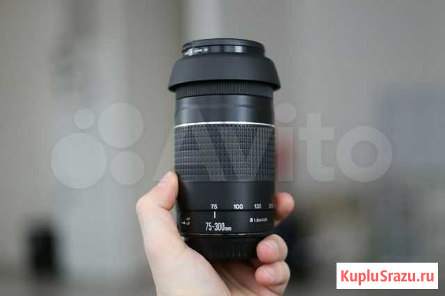 Canon EF 75-300mm f/4-5.6 III Краснознаменск - изображение 1