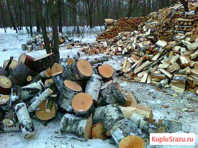 Дрова береза и осина Вологда - изображение 1