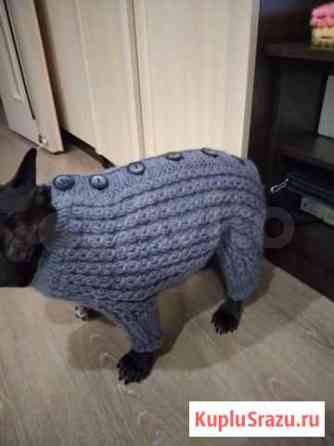 Комбинезон для животных или кофту Екатеринбург