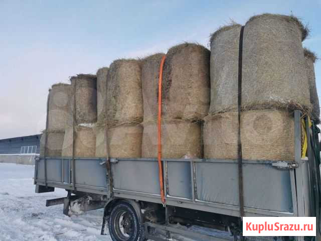 Сено в рулонах с доставкой Миасское - изображение 1