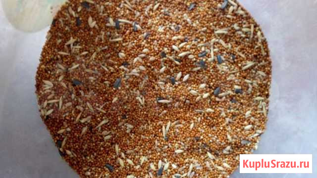 Корм для попугаев Поворино - изображение 1