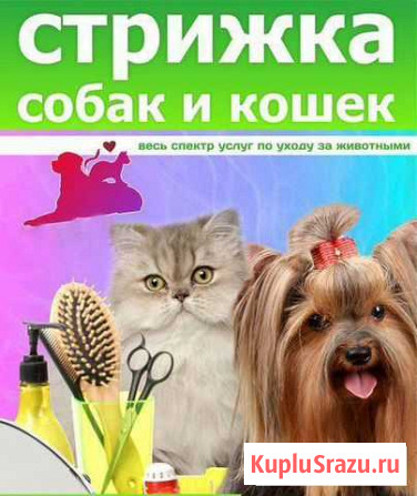 Груминг Карла Либкнехта - изображение 1