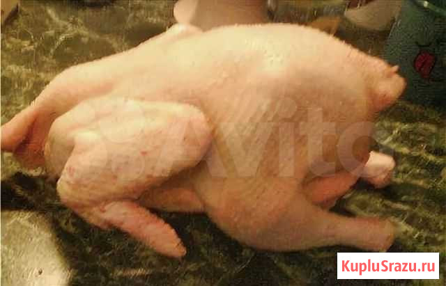 Мясо домашних курочек Солнечногорск - изображение 1
