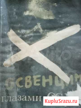 Освенцим глазами сс книга Ессентуки - изображение 1