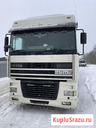 Daf 95 Светлый - изображение 1