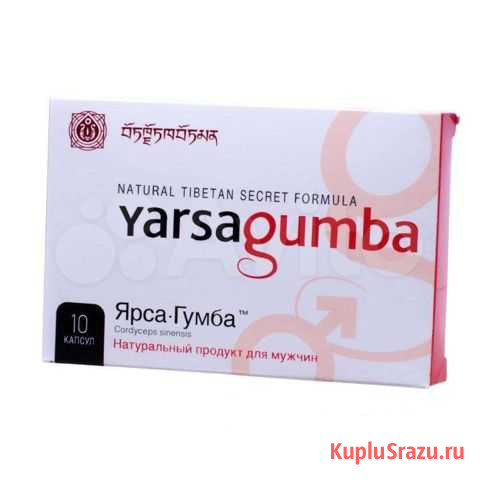 Корень Ярсагумба Новоалтайск - изображение 1