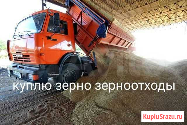 Зерно, зерноотходы Зея - изображение 1