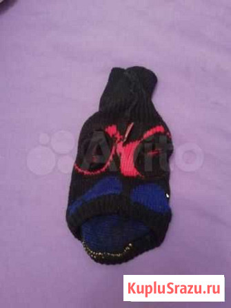 Вещи для собаки Нижневартовск - изображение 1