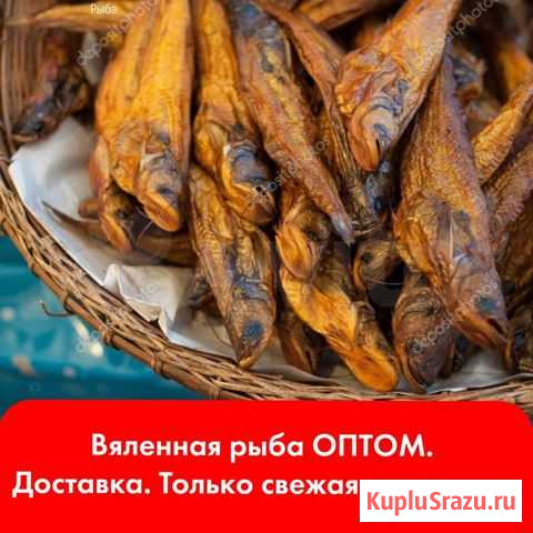 Вяленая рыба оптом Балашиха - изображение 1