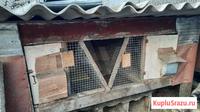 Клетки для кроликов бу Михайловск - изображение 1