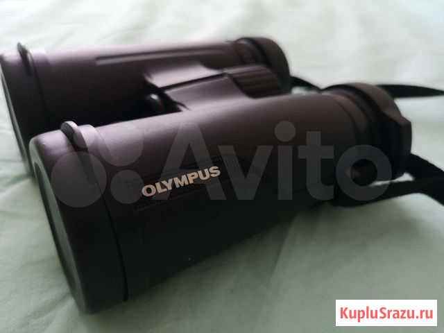 Бинокль olympus 10x42 pro Братск - изображение 1