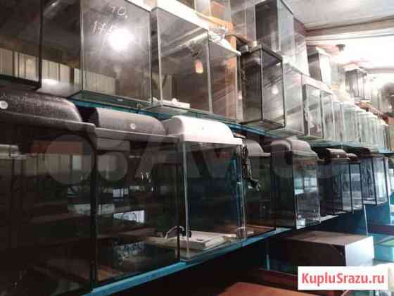 Аквариумы террариумы на заказ Кемерово