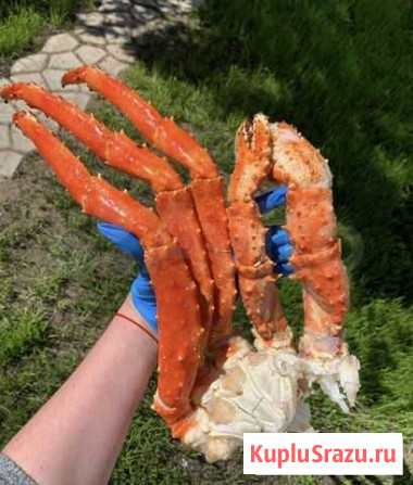 Морепродукты Кемерово - изображение 1