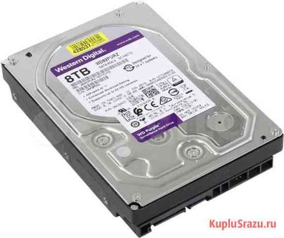 Жесткий диск 8000Gb (8TB) WD Caviar Purple 256Mb S Калининград