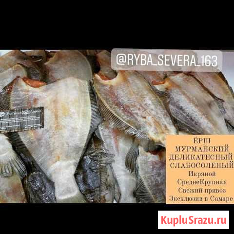Рыба Самара - изображение 1