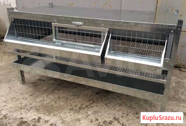 Клетка для 30-50 перепелов Челябинск - изображение 1