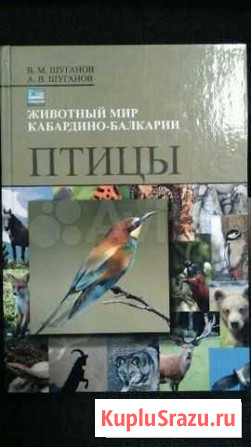 Книга-справочник Нальчик - изображение 1