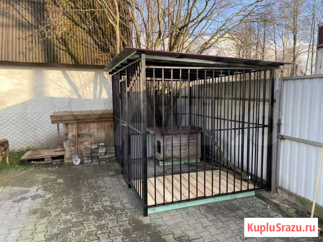 Вольер Калининград - изображение 1