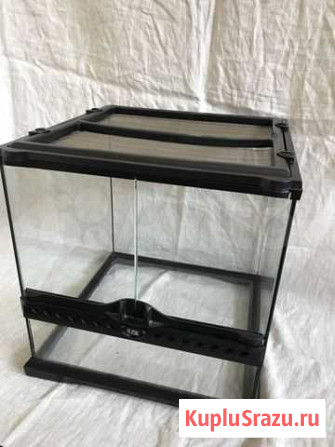 Террариум Иркутск - изображение 1