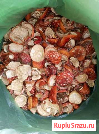 Amanita Muscaria Томск - изображение 1