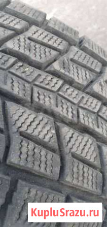 Зимние шины Dunlop Хабаровск - изображение 1