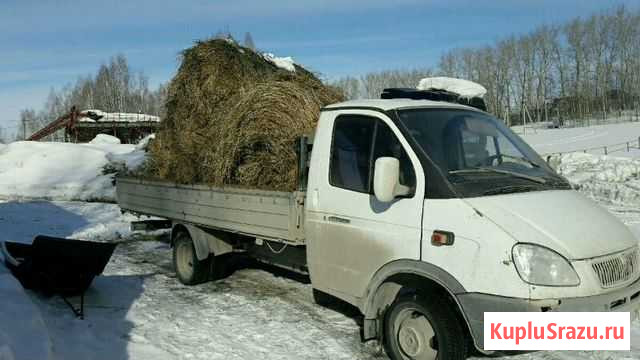Доставлю газелью сено Новосибирск - изображение 1