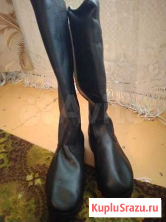 Хромовые сапоги Курск - изображение 1