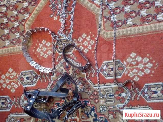 Шлейка, ошейник итд Котово - изображение 1