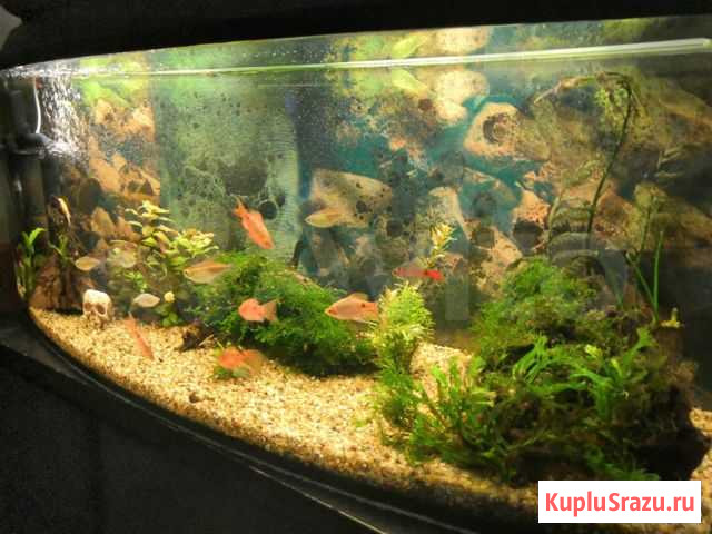 Продам аквариум 150 литров Казань - изображение 1