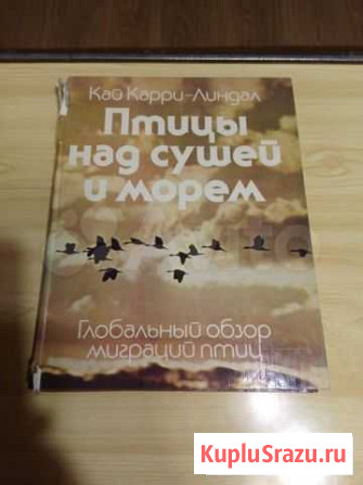 Птицы над сушей и морем Вологда - изображение 1