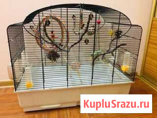 Продам клетку для попугаев Советск - изображение 1