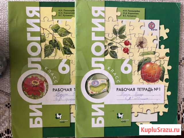Рабочие тетради 6 класс Кемерово - изображение 1