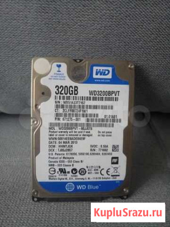 Жесткий диск WD320 GB blue Чебоксары - изображение 1