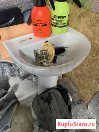 Раковина Калуга