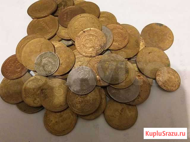 Ранние советы Брянск - изображение 1