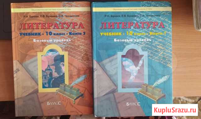 Учебники по литературе, Бунеев, 10 класс Рубцовск - изображение 1