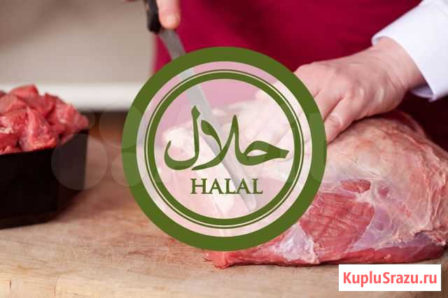 Готовый бизнес - Мясная лавка Оренбург - изображение 1