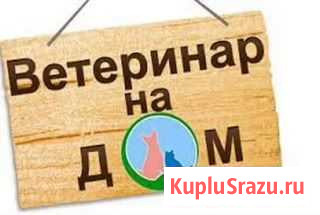 Ветеринарнарный врач на дом Белгород - изображение 1