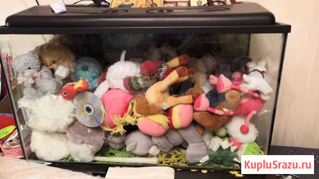 Аквариум Тюмень - изображение 1