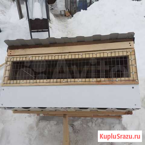 Клетка для кролика Кострома - изображение 1