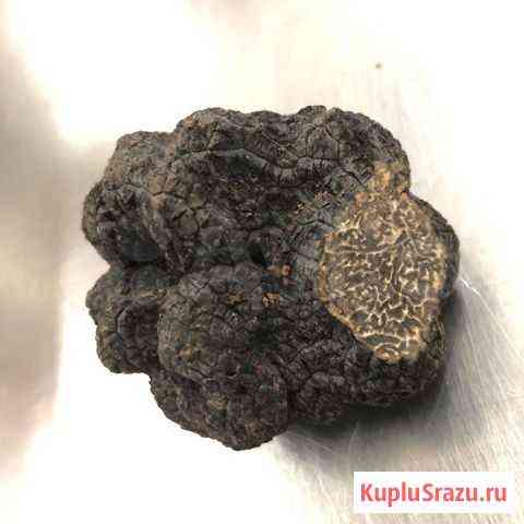 Трюфель гриб Москва