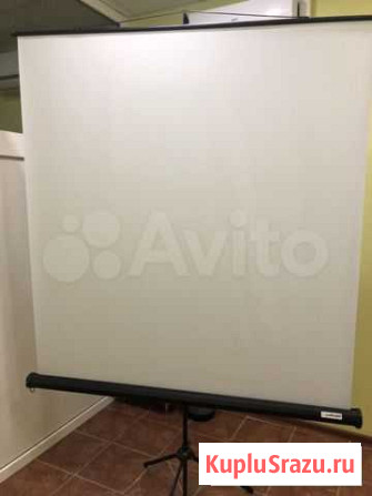 Мобильный экран для проектора Люберцы - изображение 1