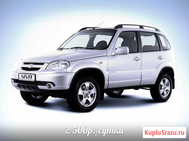 Аренда прокат Niva Chevrolet, UAZ Новый Уренгой - изображение 1