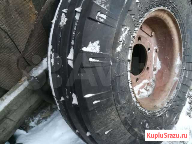 Колёса задние енисей Белогорск - изображение 1