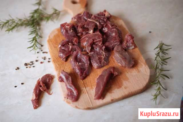 Мясо корм для собак Туапсе - изображение 1