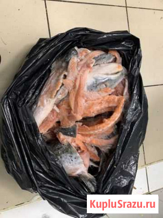 Лосось замороженный, рыба Королев - изображение 1